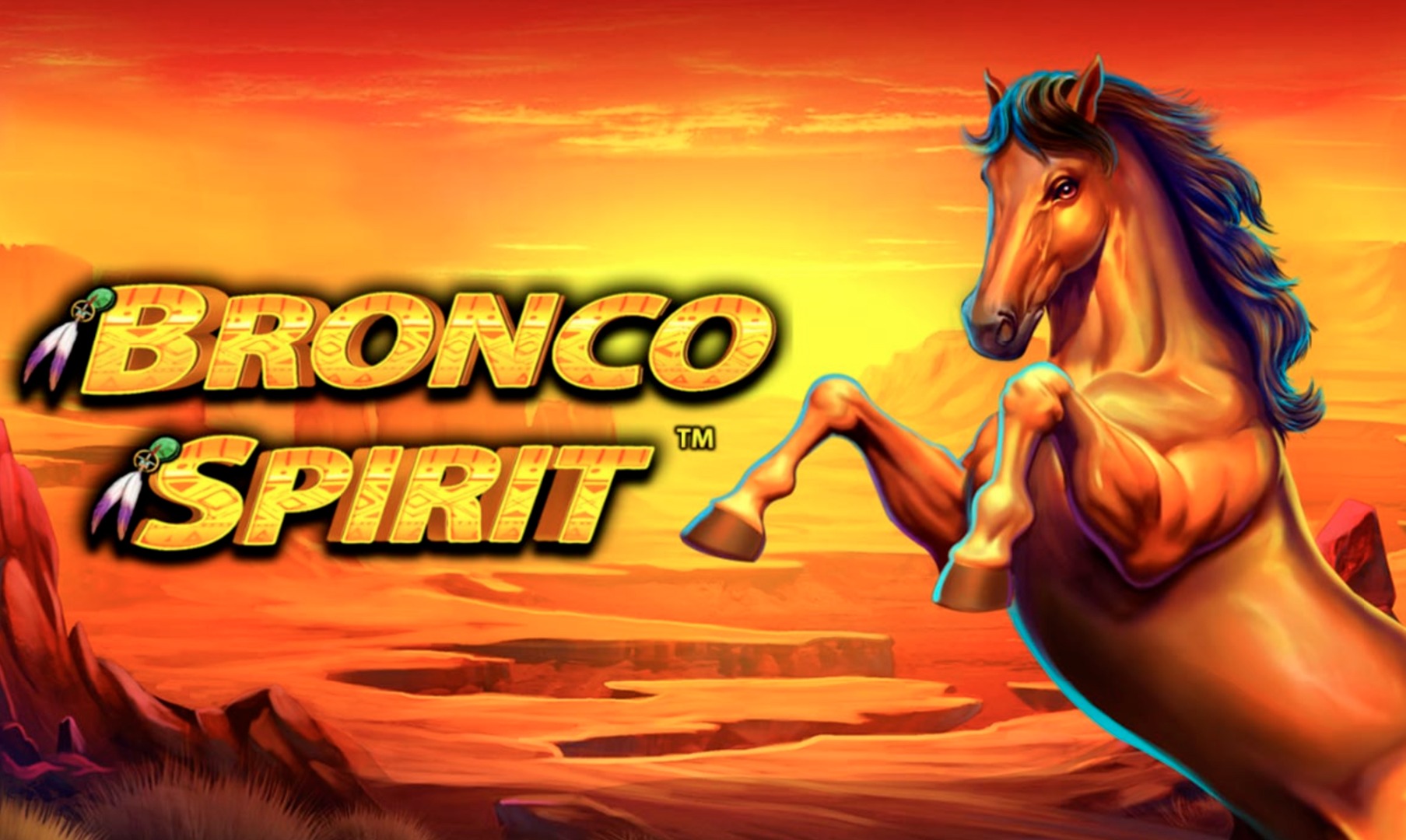 Bronco Spirit