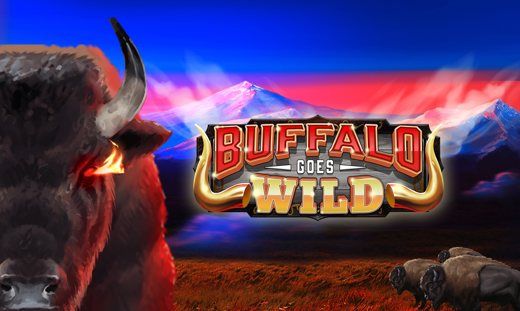 Buffalo Goes Wild