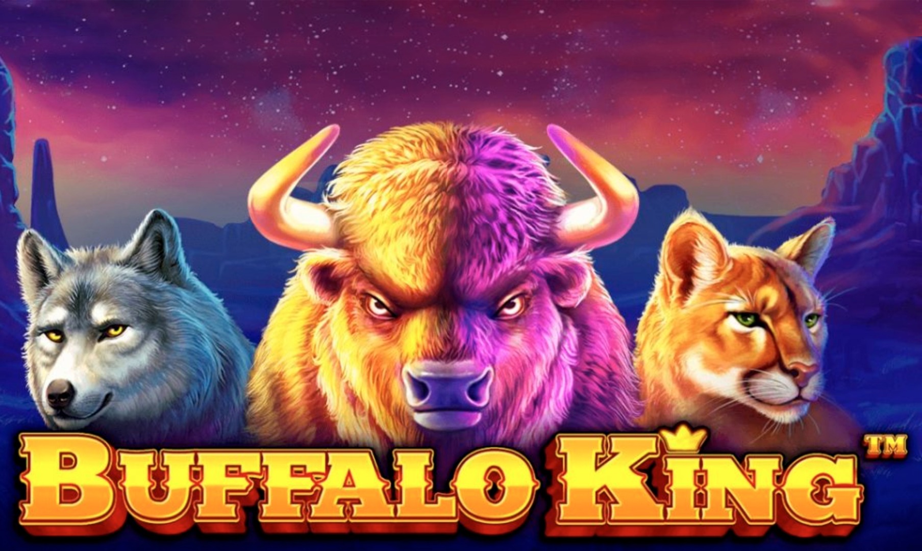 Buffalo King
