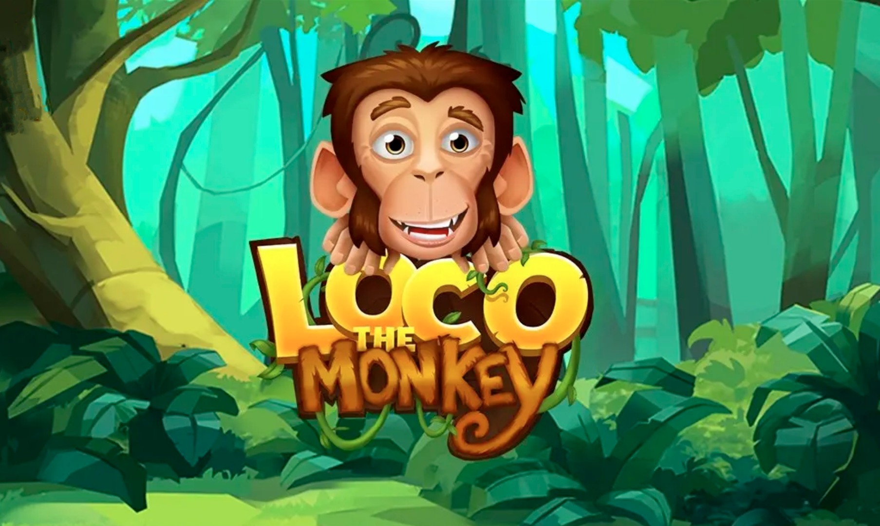 Loco the Monkey