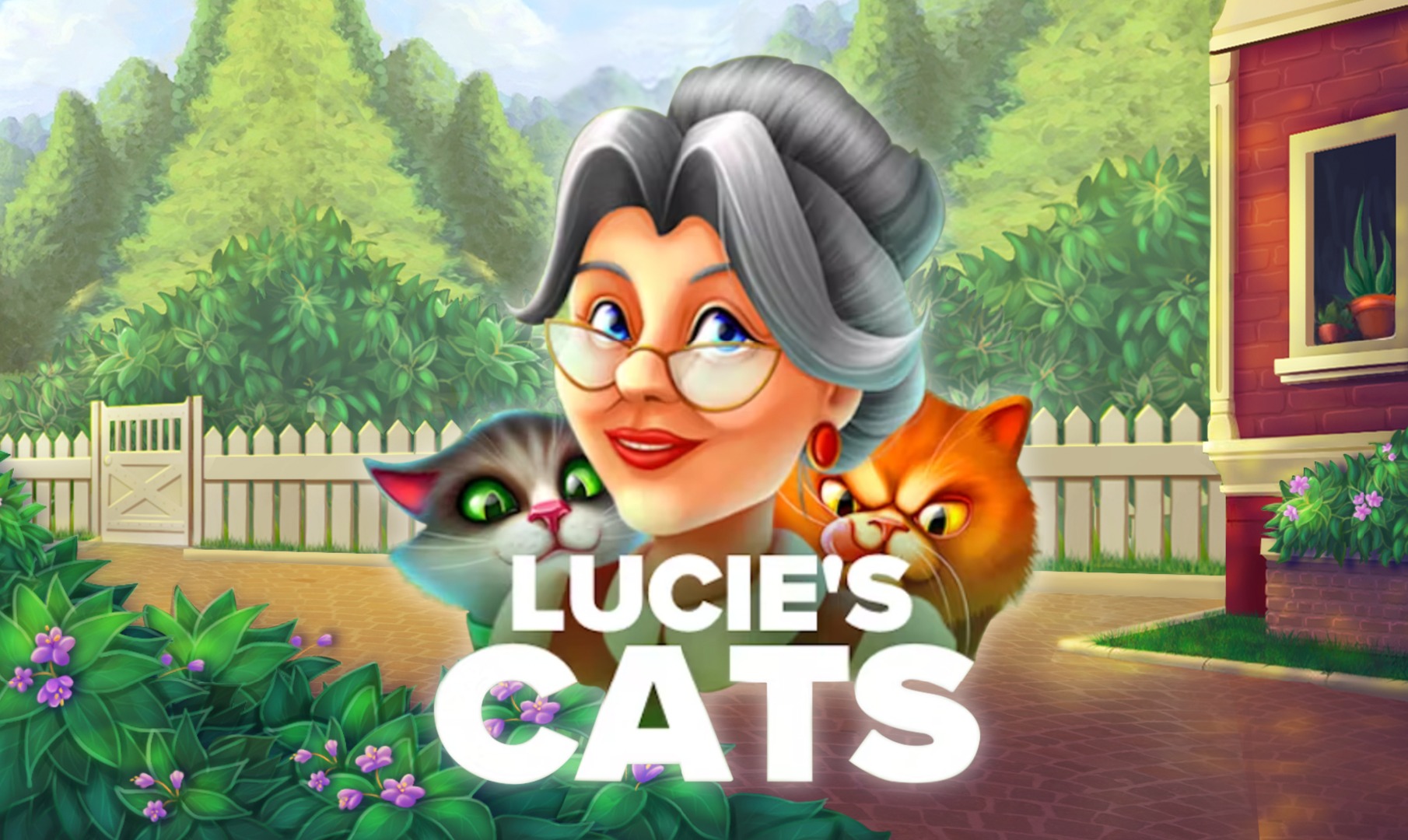 Lucie’s Cats