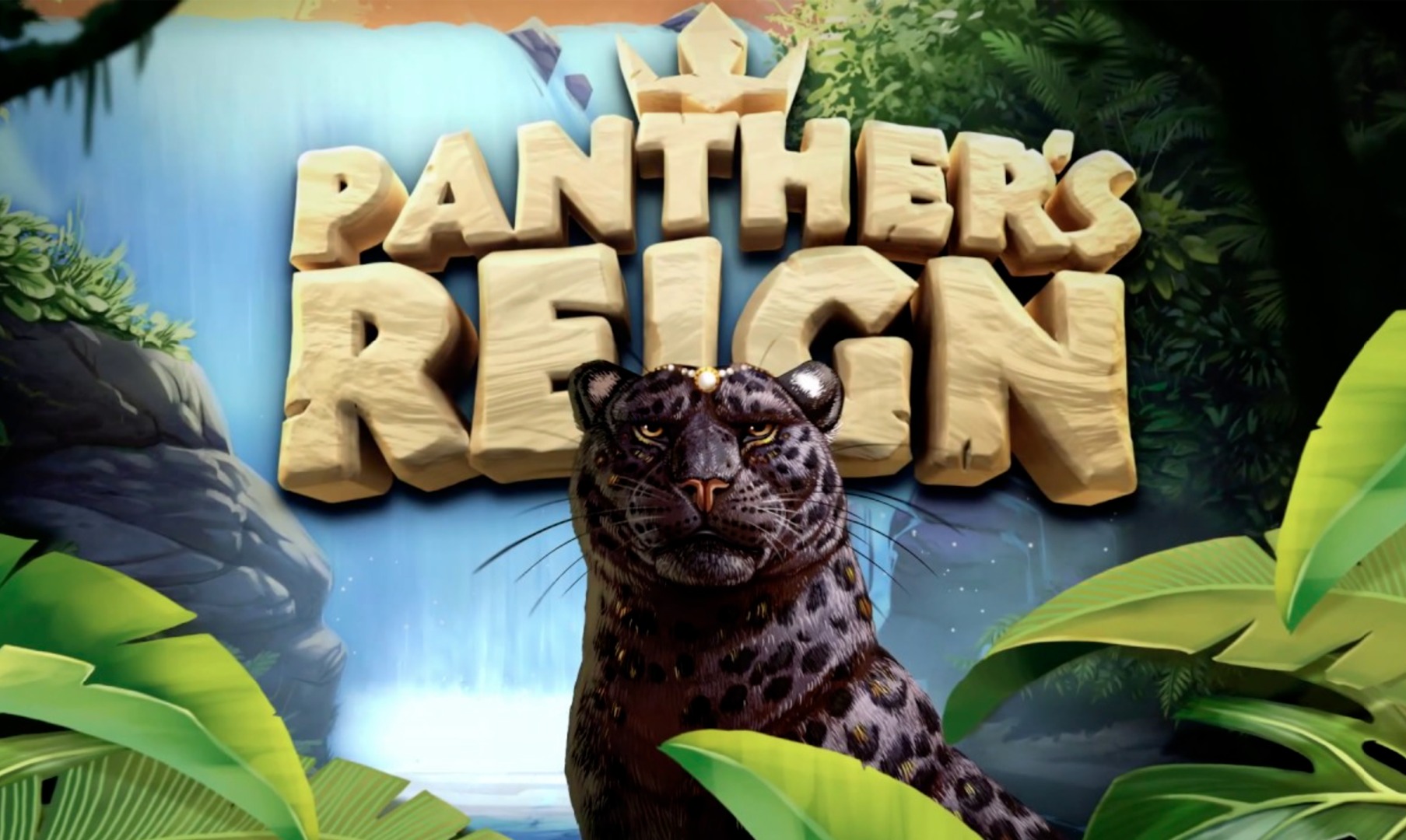 Panther’s Reign