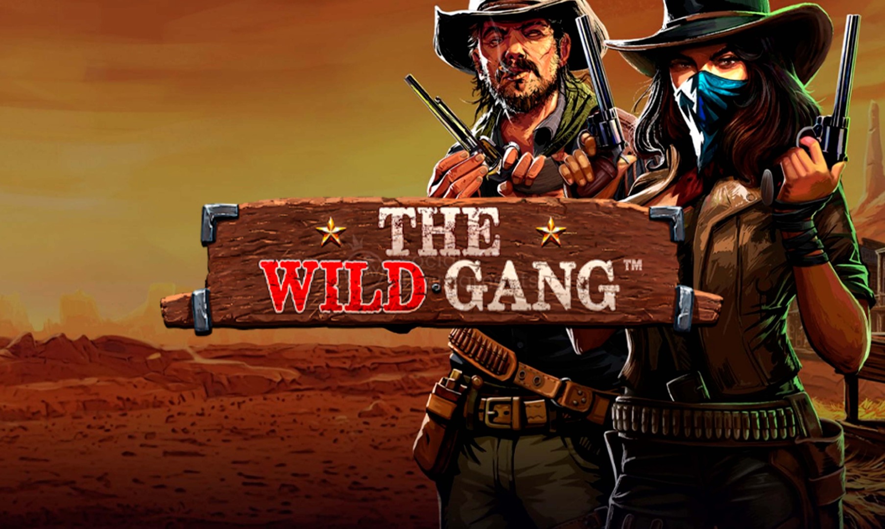 The Wild Gang