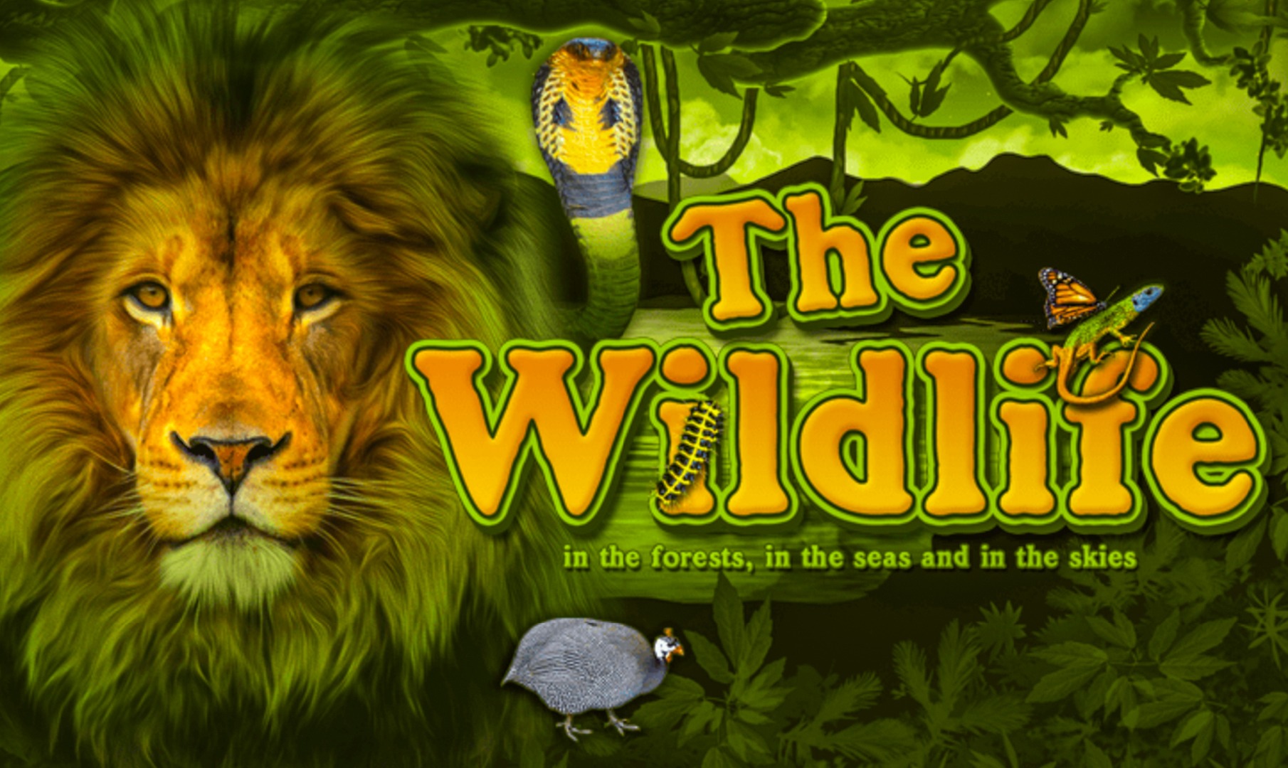 The Wildlife