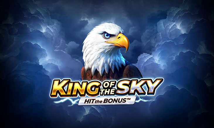 King of the Sky: Hit the Bonus